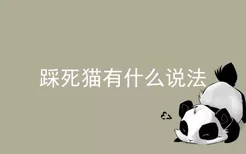 踩死猫有什么说法