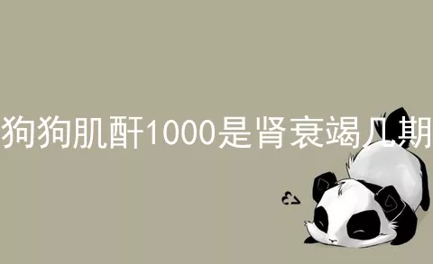 狗狗肌酐1000是肾衰竭几期