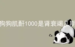 狗狗肌酐1000是肾衰竭几期