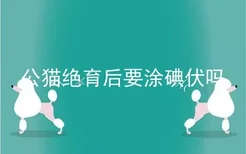 公猫绝育后要涂碘伏吗