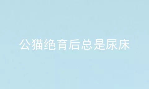 公猫绝育后总是尿床