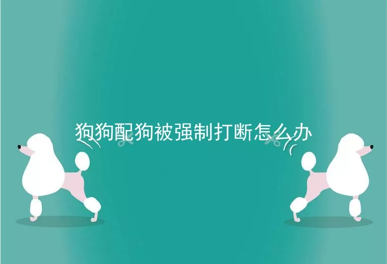 狗狗配狗被强制打断怎么办