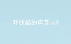 吓唬猫的声音mp3