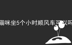 猫咪坐5个小时顺风车可以吗