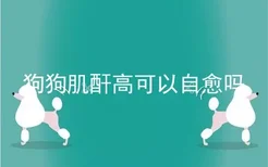 狗狗肌酐高可以自愈吗