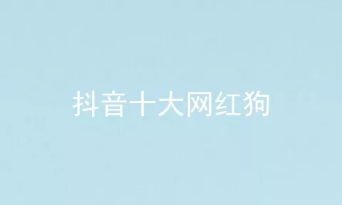 抖音十大网红狗