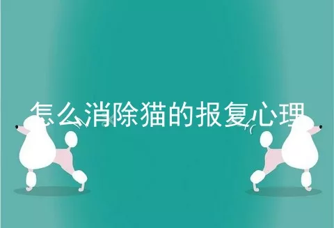 怎么消除猫的报复心理