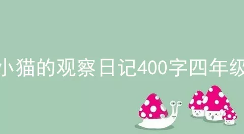 小猫的观察日记400字四年级