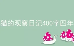 小猫的观察日记400字四年级