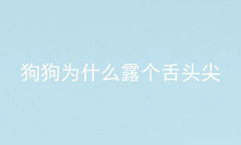 狗狗为什么露个舌头尖