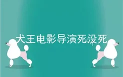 犬王电影导演死没死