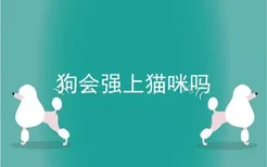 狗会强上猫咪吗