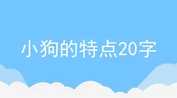 小狗的特点20字