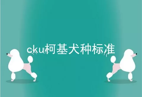 cku柯基犬种标准