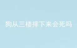 狗从三楼摔下来会死吗