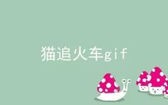 猫追火车gif