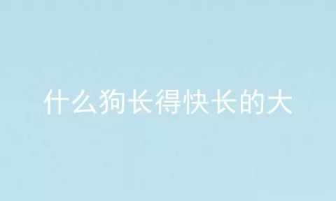 什么狗长得快长的大