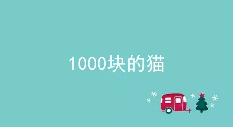 1000块的猫