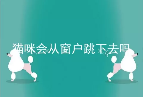 猫咪会从窗户跳下去吗