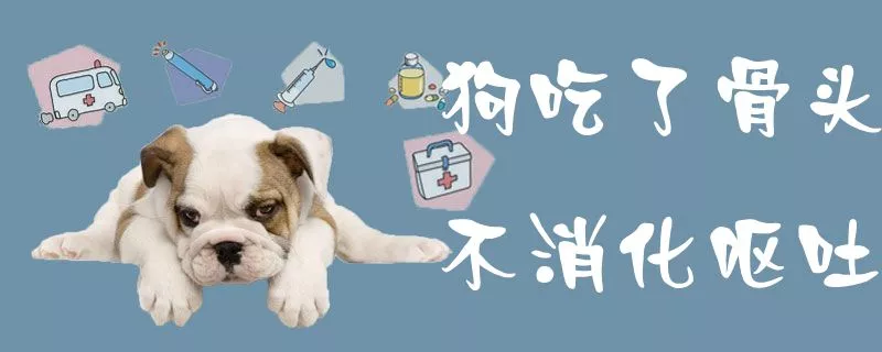 狗吃了骨头不消化呕吐1