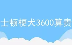 波士顿梗犬3600算贵吗