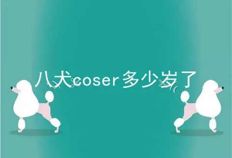 八犬coser多少岁了