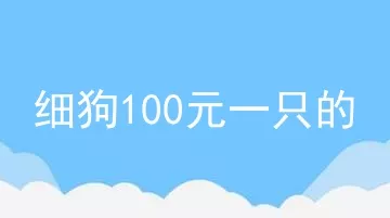 细狗100元一只的