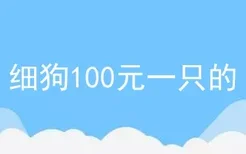 细狗100元一只的