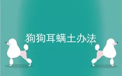 狗狗耳螨土办法