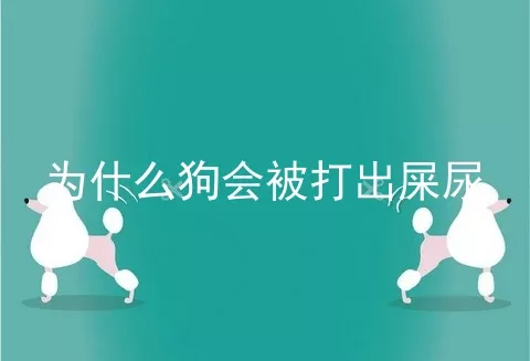 为什么狗会被打出屎尿