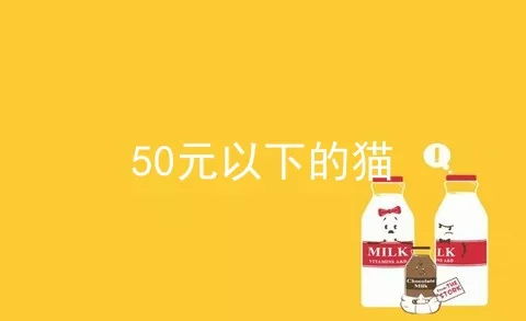 50元以下的猫