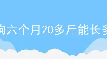 土狗六个月20多斤能长多大