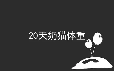 20天奶猫体重