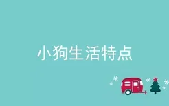 小狗生活特点