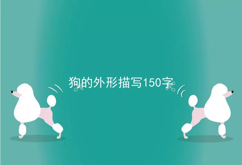 狗的外形描写150字