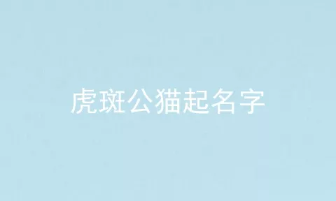 虎斑公猫起名字