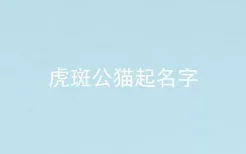 虎斑公猫起名字