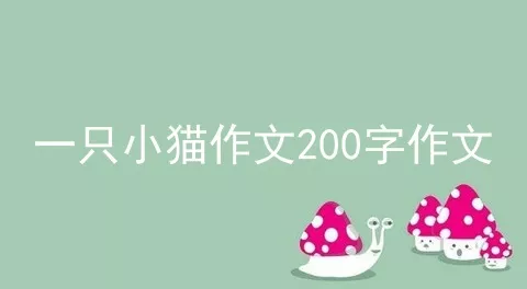 一只小猫作文200字作文