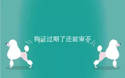 狗证过期了还能审不