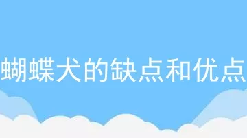 蝴蝶犬的缺点和优点