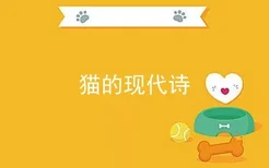 猫的现代诗