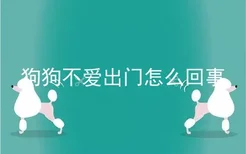 狗狗不爱出门怎么回事