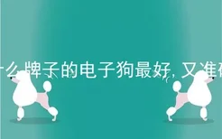 什么牌子的电子狗最好,又准确