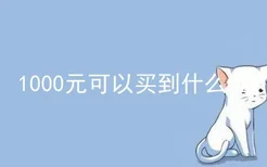 1000元可以买到什么猫