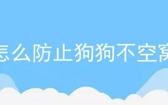 怎么防止狗狗不空窝