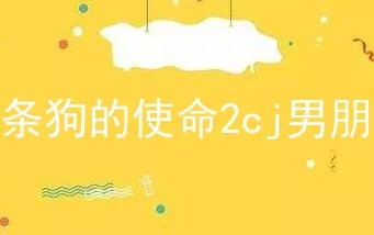 一条狗的使命2cj男朋友