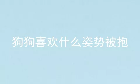 狗狗喜欢什么姿势被抱