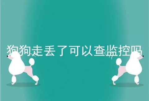 狗狗走丢了可以查监控吗