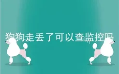 狗狗走丢了可以查监控吗