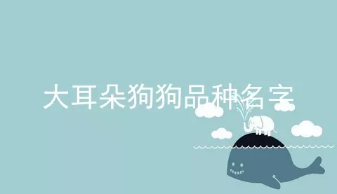 大耳朵狗狗品种名字